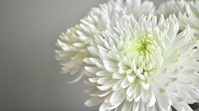 介護タクシー　仙台　冠婚葬祭　葬儀